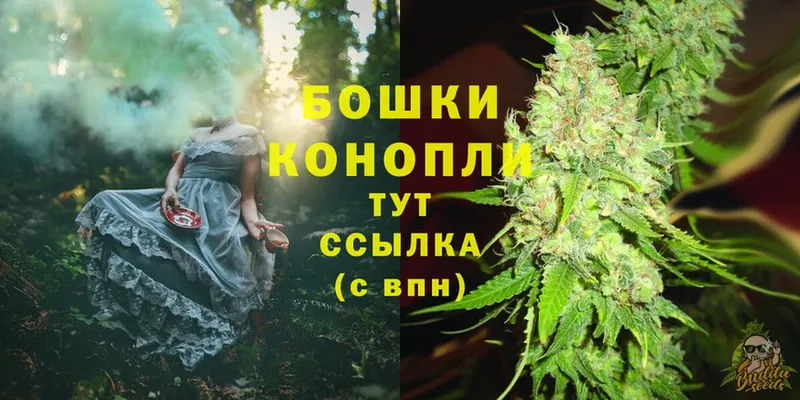 цены   Козельск  Шишки марихуана SATIVA & INDICA 